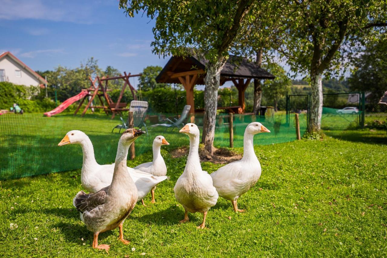 Bieszczadzki Krakowiak 575-894-584 Lub 535-595-732 * Polańczyk